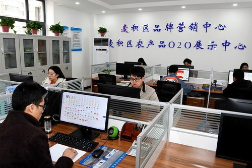 天水市麥積區電子商務公共服務中心揭牌運營，助力個人商務發展